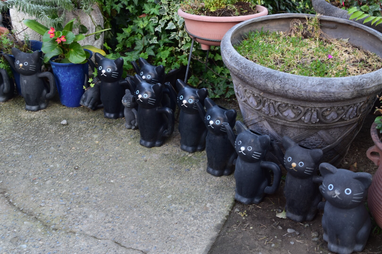 写真 2017-11-12 15 42 55