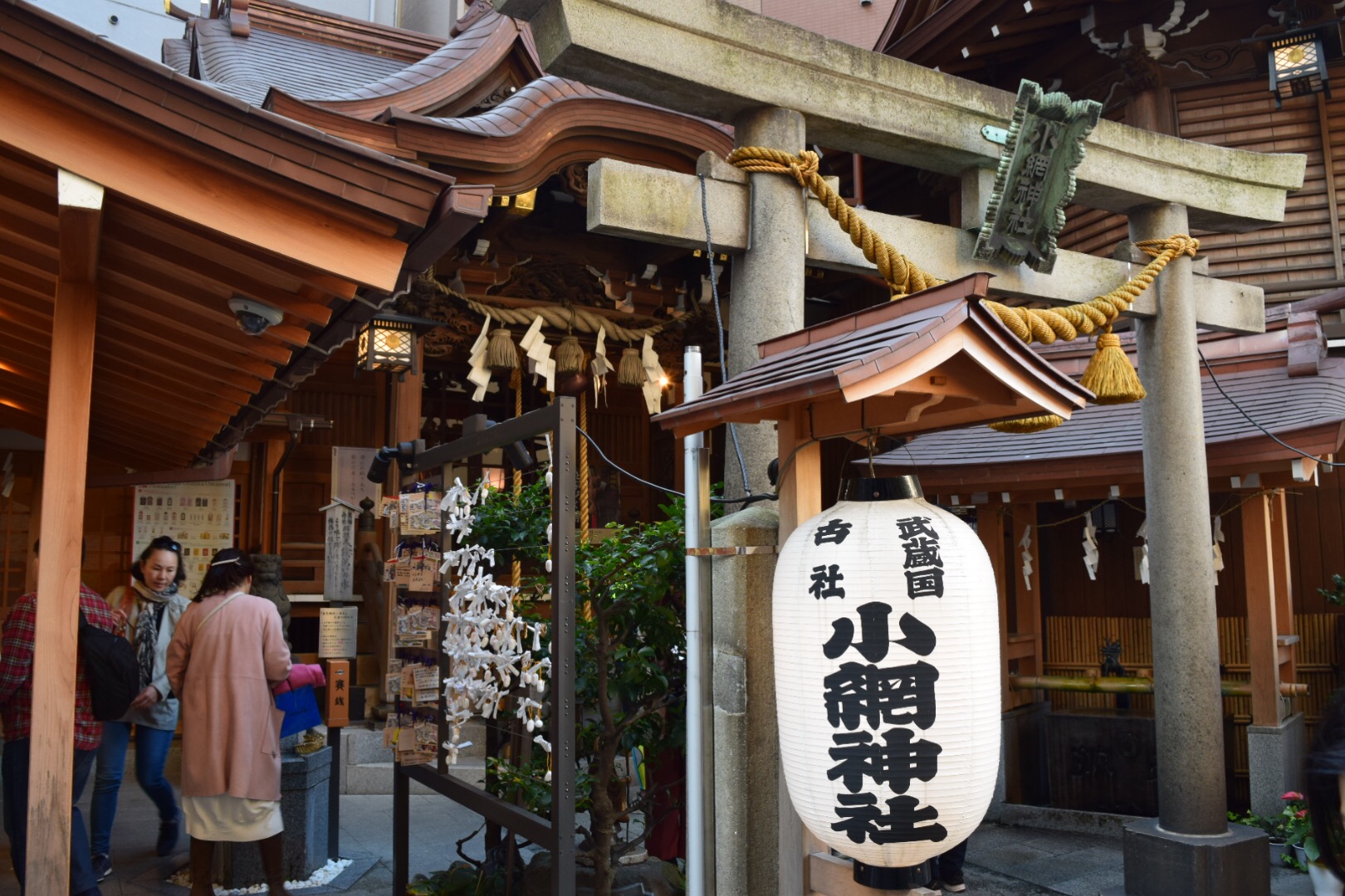 写真 2017-11-12 14 16 05