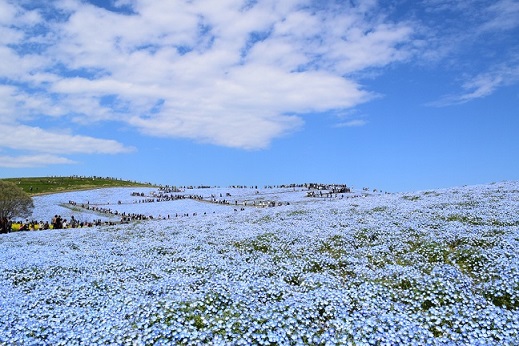 写真 2017-04-23 13 35 21