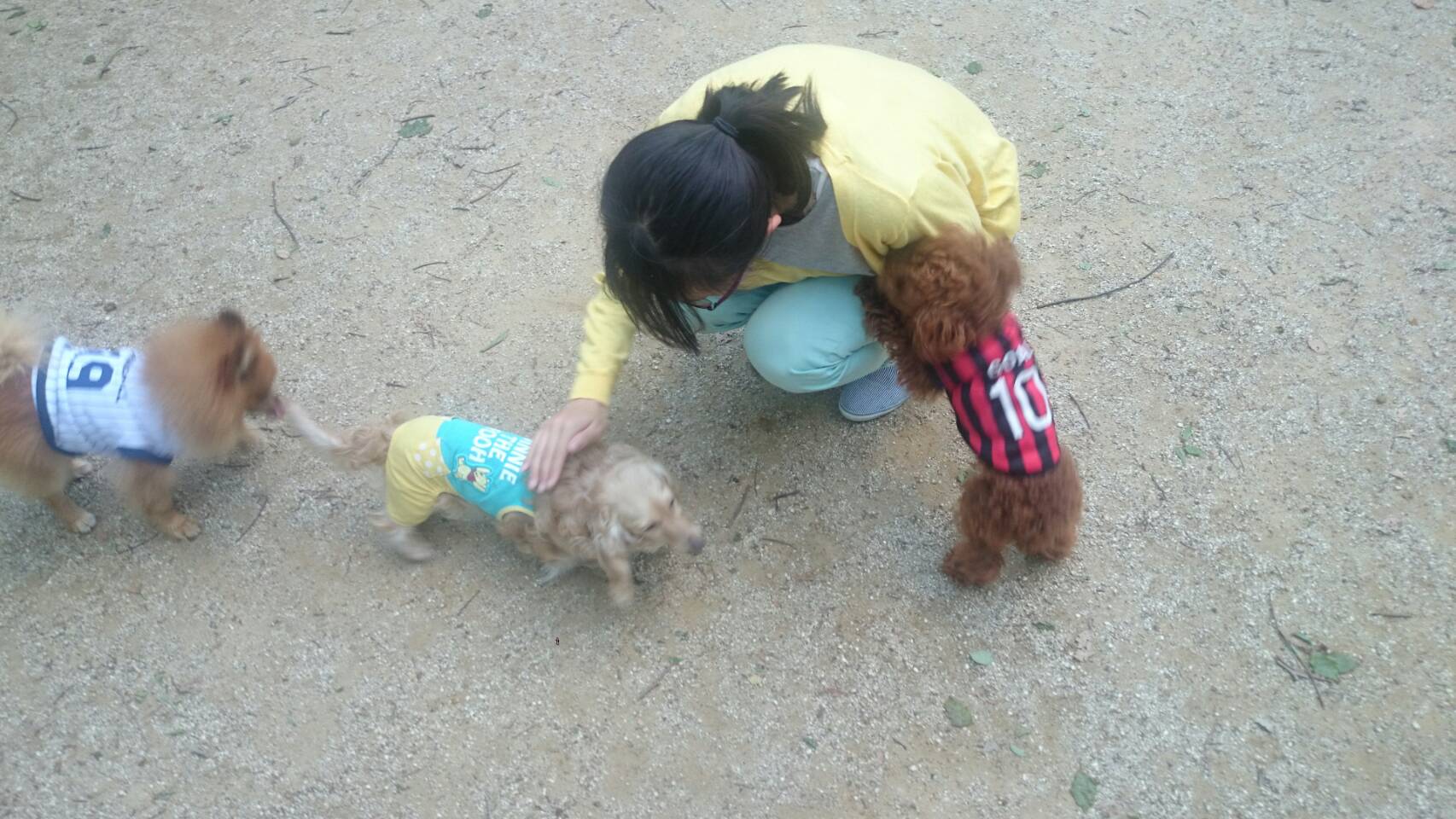 32367531-5B14-44A6-9776-04C2127ADF34