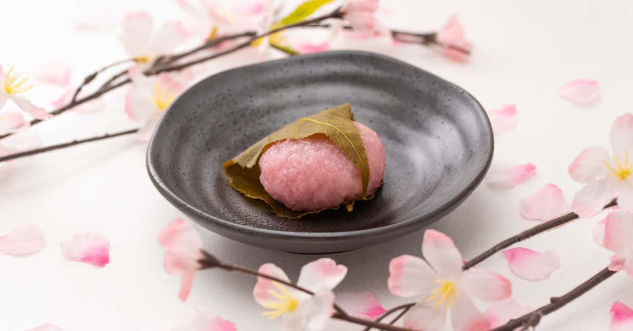 rectangle_large_type_2_87b63a286702fa7f9fde489d4080c2b9