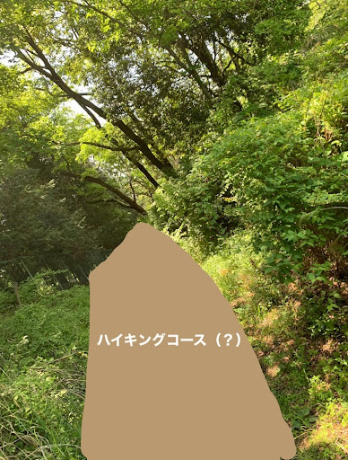 ハイキングコース
